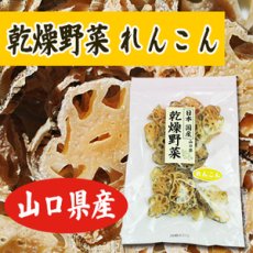 Photo1: 乾燥野菜 国産 れんこん 60ｇ (1)