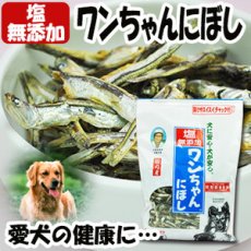 Photo1: 塩無添加 ワンちゃんにぼし お徳用 1kg　(愛犬の食べる小魚 煮干し おやつ) (サカモト)(Japanese Additive-free Salt Doggie Niboshi, virtuous 1kg (Small Fish for Dogs, Dried Fish, Snack) (Sakamoto)) (1)