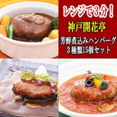 Photo1: レトルト ハンバーグ 神戸開花亭 芳醇煮込みハンバーグ ３種類15個セット(Japanese Retort hamburger steak Kobe Kaikatei mellow stewed hamburger steak 3 kinds 15 pieces set) (1)