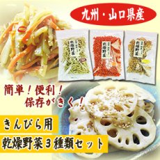 Photo1: 乾燥野菜 国産 きんぴら用 ３種類セット 吉良食品（れんこん・ごぼう・にんじん） (1)