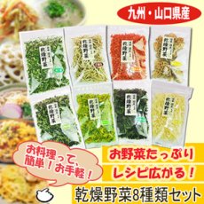 Photo1: 乾燥野菜 国産 ８種類セット吉良食品（れんこん・ごぼう・にんじん・ねぎ・たまねぎ・ほうれんそう・キャベツ・大根の葉）国産 干し野菜 長期保存食 (1)