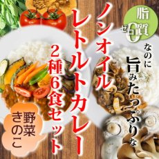 Photo1: ノンオイル レトルトカレー2種6食お試しセット　野菜ときのこ 脂質ゼロなのに旨みたっぷり！糖質ゼロ食品　インスタントカレー　即席カレー　ダイエット(Japanese Non-oil Retort Curry 6-serving Trial Set of 2 Kinds of Vegetable and Mushroom Zero fat, yet full of flavor! Zero carbohydrate food Instant curry Instant curry Diet) (1)