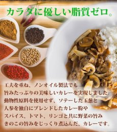 Photo7: ノンオイル レトルトカレー2種6食お試しセット　野菜ときのこ 脂質ゼロなのに旨みたっぷり！糖質ゼロ食品　インスタントカレー　即席カレー　ダイエット(Japanese Non-oil Retort Curry 6-serving Trial Set of 2 Kinds of Vegetable and Mushroom Zero fat, yet full of flavor! Zero carbohydrate food Instant curry Instant curry Diet) (7)