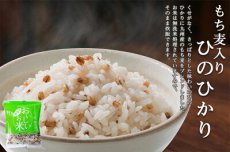 Photo5: 国産 無洗米 おいしいお米　もち麦入りひのひかり 150g 一合分 お試し 一人暮らし ベストアメニティ(Japanese Japanese wash-free rice, delicious rice, Hinohikari with glutinous rice, 150g, one portion, trial, living alone, Best Amenity) (5)