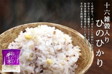 Photo5: 国産 無洗米 おいしいお米　十六雑穀入ひのひかり 150g 一合分 お試し 一人暮らし ベストアメニティ(Japanese Japanese wash-free rice Delicious rice, Hinohikari with 16 grains, 150g, one portion, trial, living alone, Best Amenity) (5)