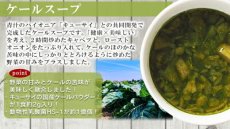 Photo6: NF オニオンスープ フリーズドライ スープ 化学調味料無添加 コスモス食品 インスタント 即席 非常食 保存食(Japanese NF Onion Soup Freeze-dried Soup Chemical Seasoning Free Cosmos Foods Instant Instant Emergency Food Preserved Food) (6)