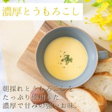 Photo3: 無添加 北海道濃厚ポタージュギフトセット 2種計18食入り (3)